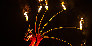 Ce spectacle de feu anime parfaitement vos fêtes médiévales et de village.
