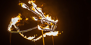 Compagnie de spectacles pyrotechniques.