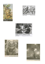Anciens articles de presse de la compagnie l'Arche-en-Sel
